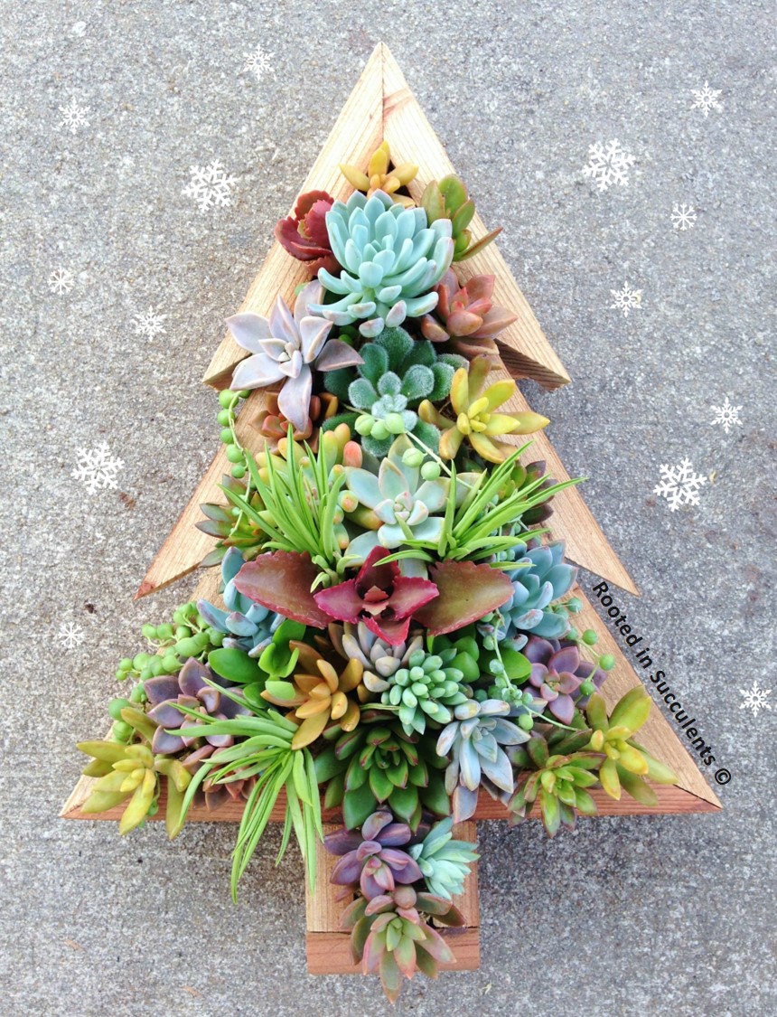 SUCCULENT CHRISTMAS TREE PLANTER