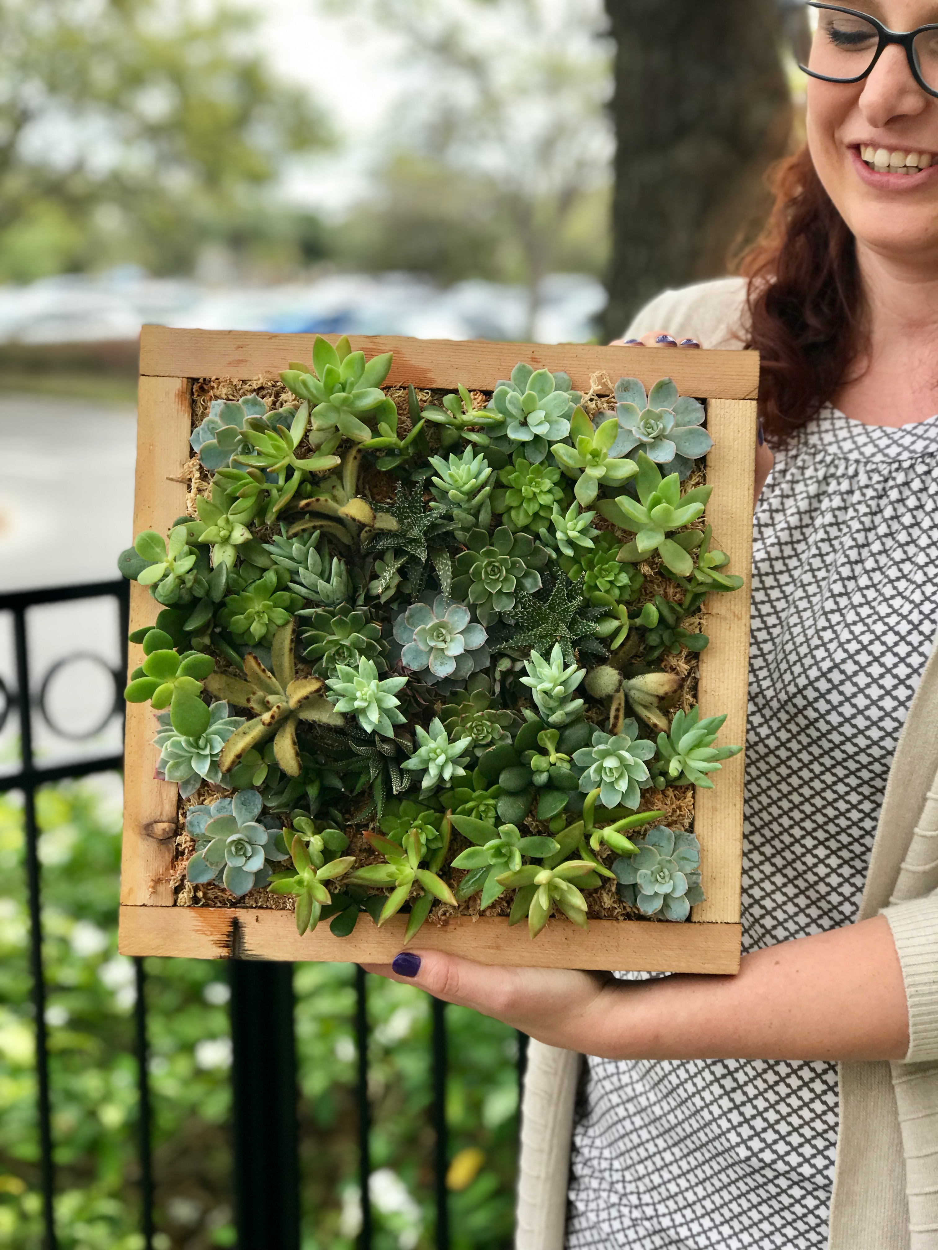 Make a Living Succulent Picture Frame