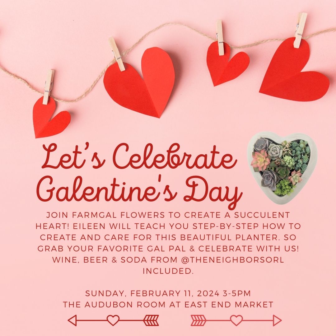 Let’s Celebrate Valentine’s Day: Succulent Heart Workshop