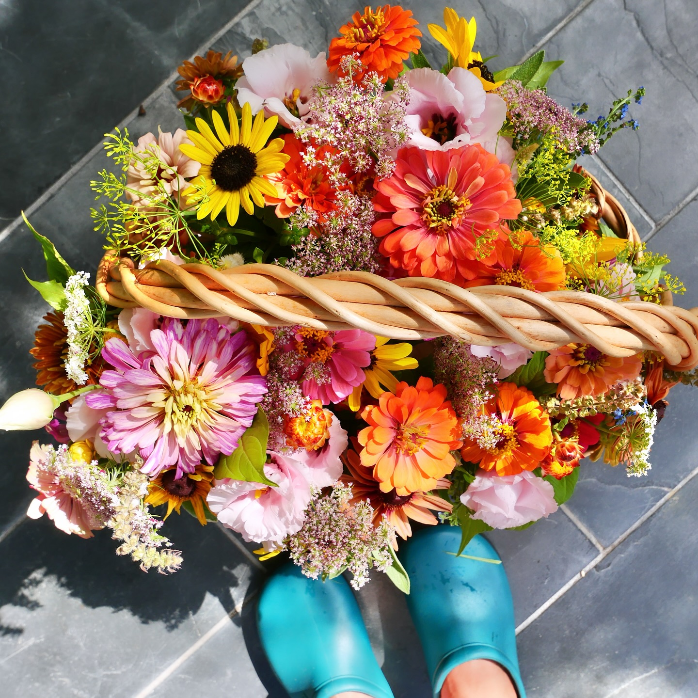 A basket of summer flowers for you! I canβt believe itβs the last day of June!π§Ίππ§Ίππ§Ί #summerflowers #farmgalflowers #slowflowerssociety #locallygrown #farmerflorist #zone10a #zinnias #growyourown #cutflowers #floraldesign #floridaflowers #flowerstagram #flowers #floraldesign #flowerarrangement #inmygarden #floridagrown #inthegarden #bouquet #inmygardentoday
