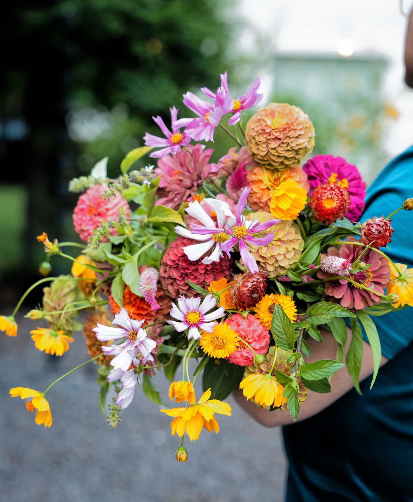 A bouquet of Florida summer blooms: zinnias, lots of cosmos, strawflower, holy basil and chocolate mint! Thank you to my husband for being the model! π©π»βπΎππΈ #summerflowers #farmgalflowers #zinnias #slowflowerssociety #locallygrown #farmerflorist #zone10a #growyourown #cutflowers #floraldesign #floridaflowers #flowerstagram #flowers #floraldesign #flowerarrangement #inmygarden #floridagrown #inthegarden #bouquet #inmygardentoday #growyourown #marthastewartsummer #strawflower #cosmos
