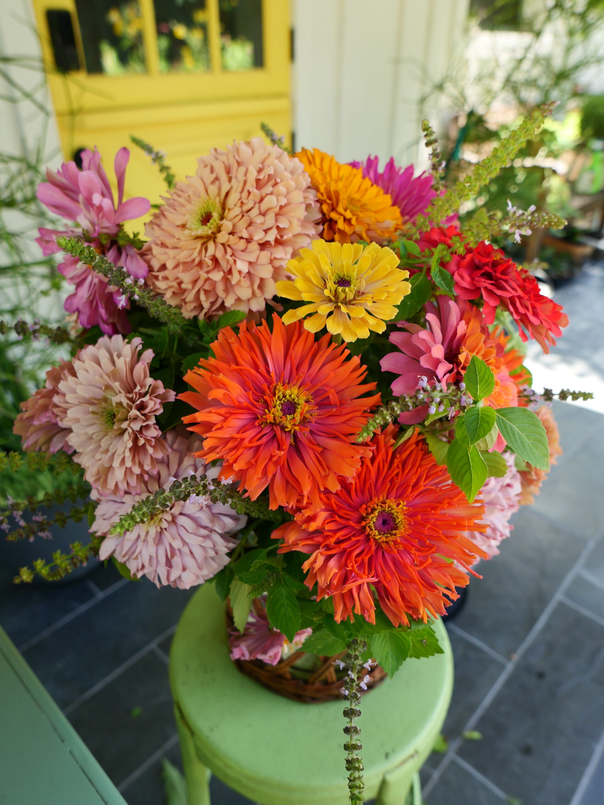 Let’s Grow Flowers Together! Free mini workshop!