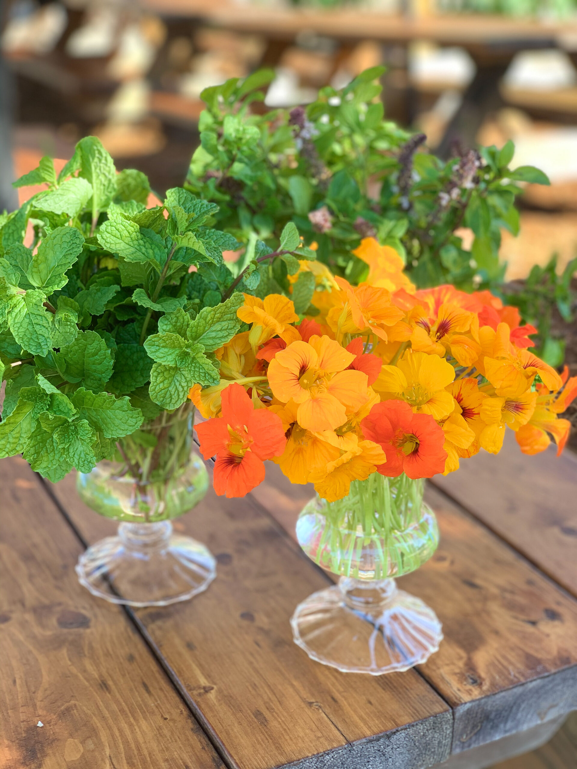 Garden to Table: Growing Edible Flowers in Central Florida