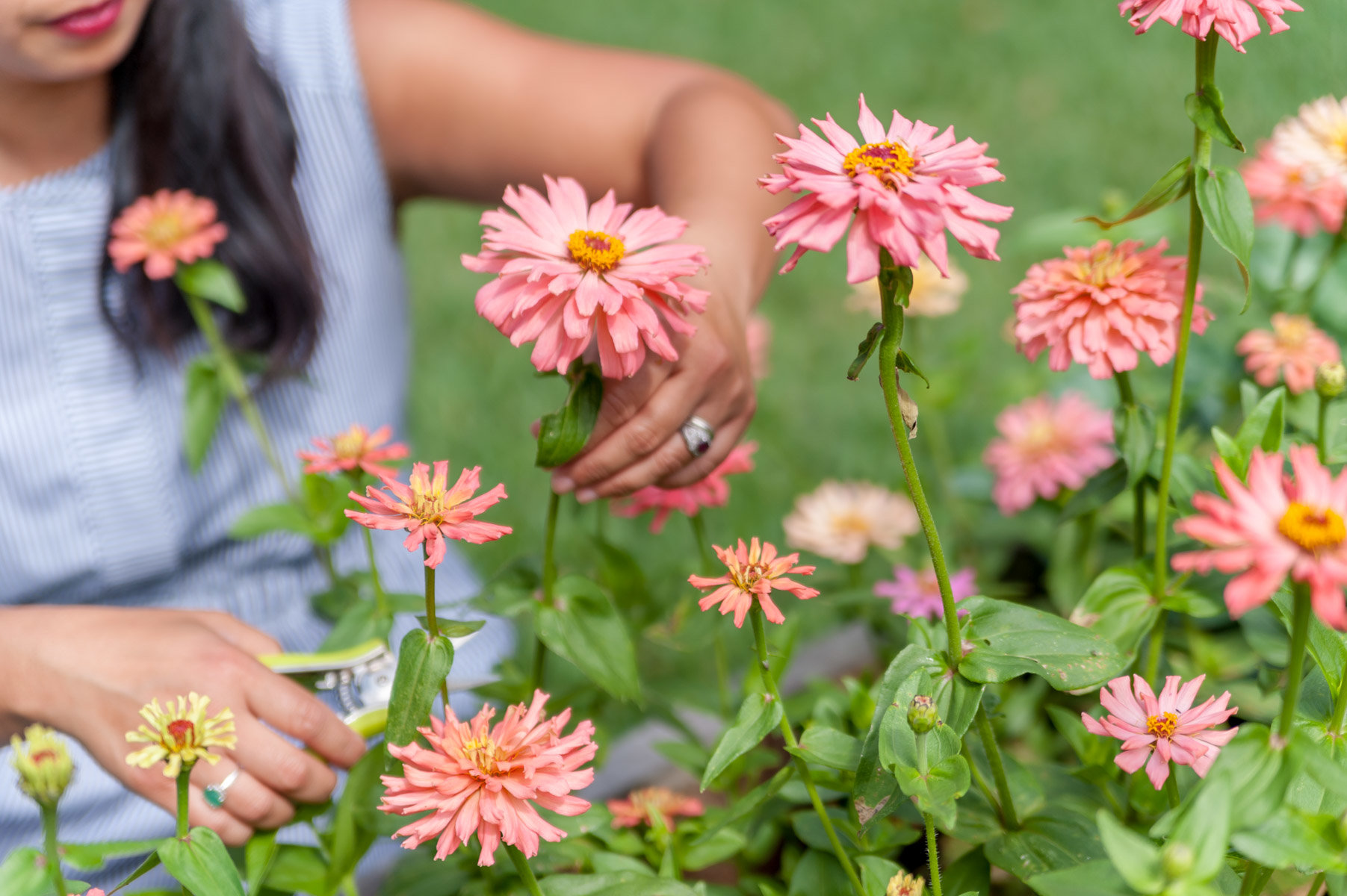Let’s Grow Flowers Together! Free mini workshop! Let’s Grow Flowers Together! Free mini workshop!
